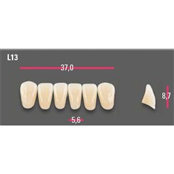 Vitapan Anterior Shade C4 Lower Mould L13 Set 6
