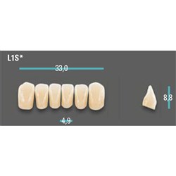 Physiodens Anterior Shade A3 Lower Mould L1S Set 6