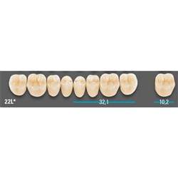 VITA Lingoform Lower Posterior Shade C1 Mould 22L Classical