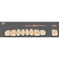 VITAPAN SYNOFORM POSTERIOR /8U