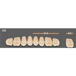 VITAPAN SYNOFORM POSTERIOR /8U