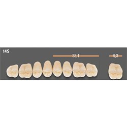 VITAPAN SYNOFORM POSTERIOR/8U