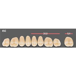 VITAPAN CUSPIFORM POSTERIOR/8U