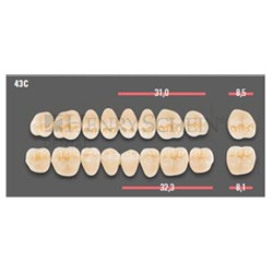 VITAPAN CUSPIFORM POST /8L