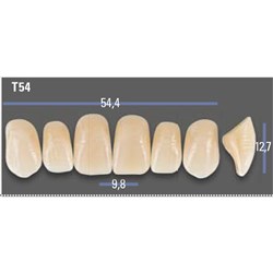 VITAPAN EXCELL Classical Upper Anterior Shade B3 Mould T54
