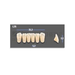 VITAPAN EXCELL Classical Lower Anterior Shade C4 Mould L35