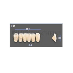 VITAPAN EXCELL Classical Lower Anterior Shade D2 Mould L33