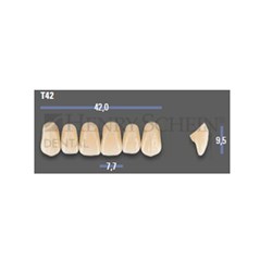 VITAPAN EXCELL Classical Upper Anterior Shade D2 Mould T42