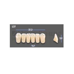 VITAPAN EXCELL Classical Lower Anterior Shade D3 Mould L37