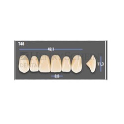VITAPAN EXCELL Classical Upper Anterior Shade D3 Mould T48