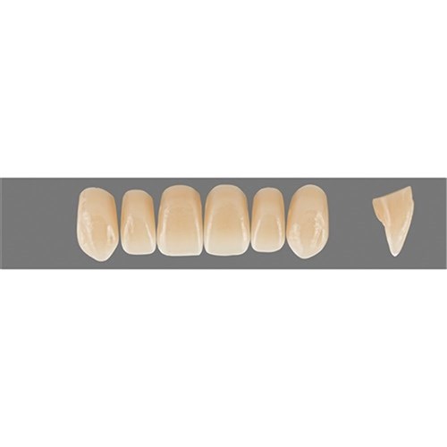 Physiodens 3D Anterior Shade 2M3 Upper Mould T5M Set 6