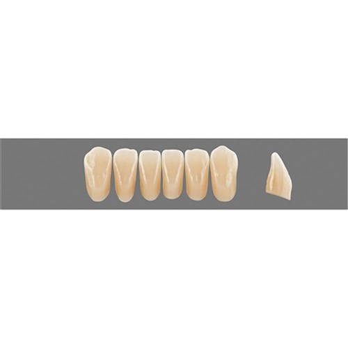 Physiodens 3D Anterior Shade 2R2.5 Lower Mould L3 Set 6