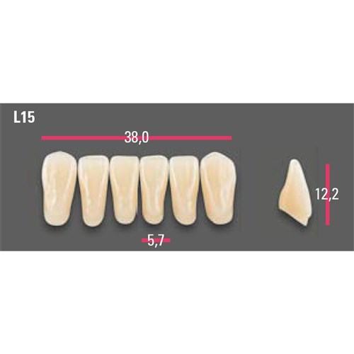Vitapan Anterior Shade A3 Lower Mould L15 Set 6