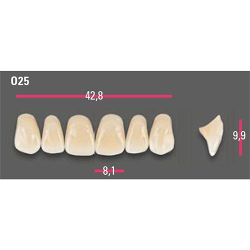 Vitapan Anterior Shade A3.5 Upper Mould O25 Set 6