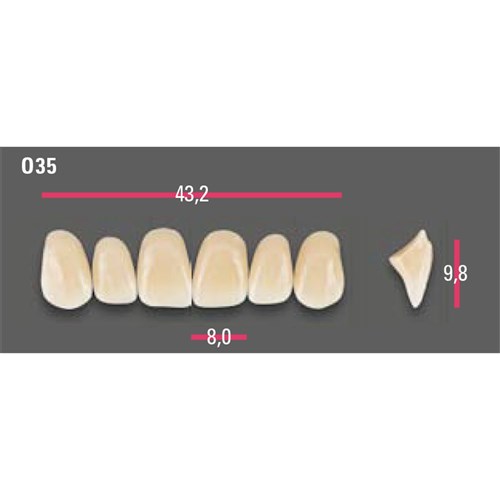 Vitapan Anterior Shade A3.5 Upper Mould O35 Set 6