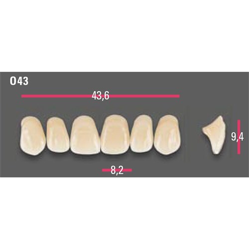 Vitapan Anterior Shade A3.5 Upper Mould O43 Set 6