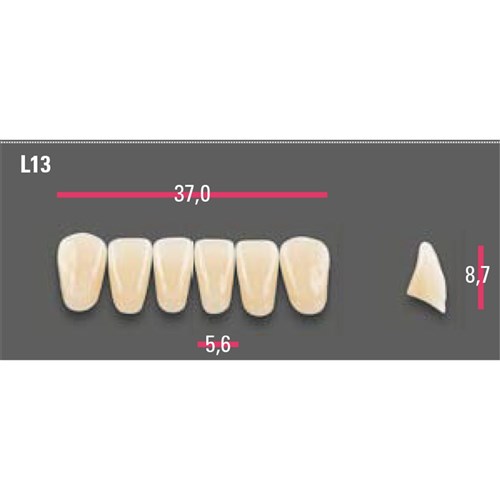 Vitapan Anterior Shade B2 Lower Mould L13 Set 6