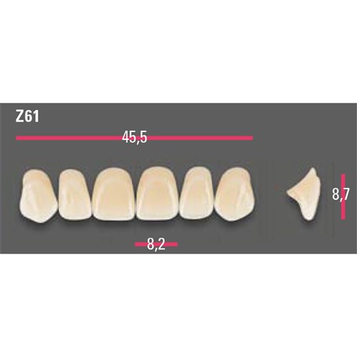 Vitapan Anterior Shade B2 Upper Mould Z61 Set 6