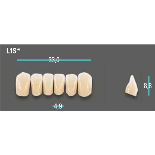 Physiodens Anterior Shade A2 Lower Mould L1S Set 6