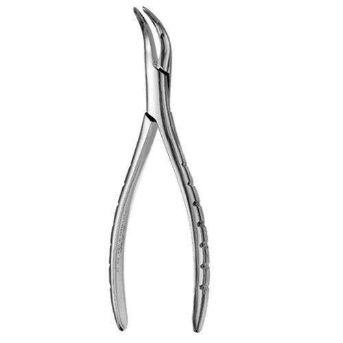 Root Forceps #301 Lower Serrated
