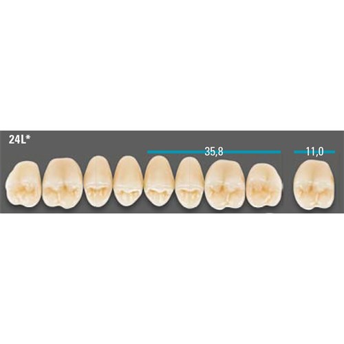 VITA Lingoform Upper Posterior Shade A2 Mould 24L Classical