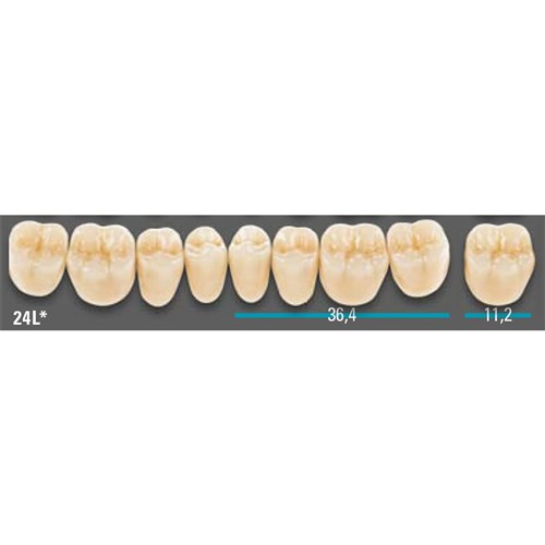 VITA Lingoform Lower Posterior Shade A3 Mould 24L Classical