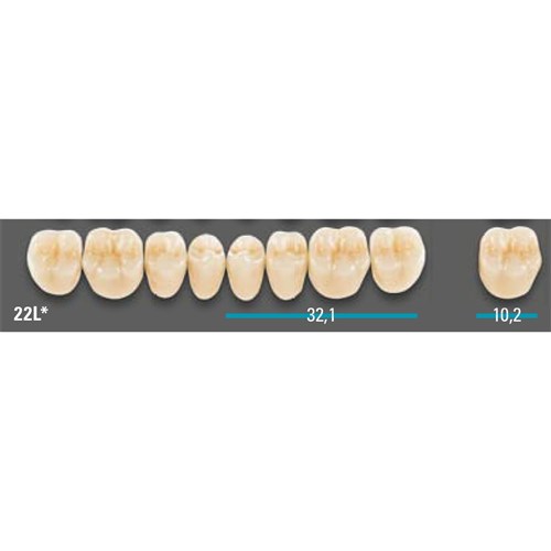 VITA Lingoform Lower Posterior Shade B3 Mould 22L Classical