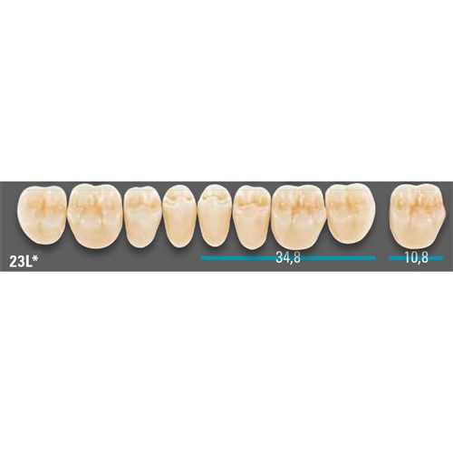 VITA Lingoform Lower Posterior Shade B3 Mould 23L Classical