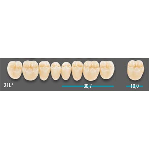 VITA Lingoform Lower Posterior Shade C3 Mould 21L Classical