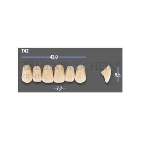 VITAPAN EXCELL Classical Upper Anterior Shade A35 Mould T42