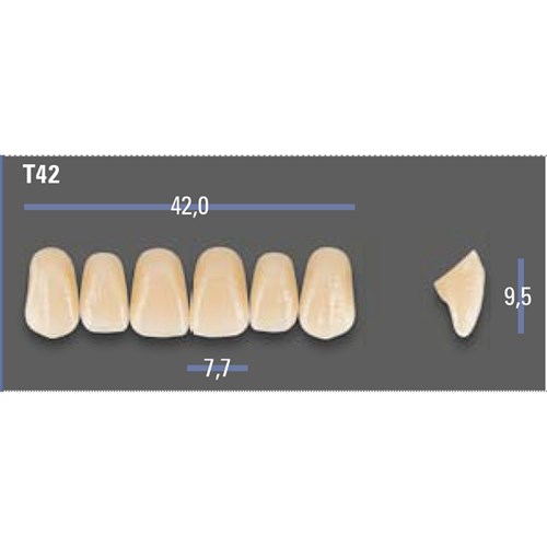 VITAPAN EXCELL Classical Upper Anterior Shade B3 Mould T42