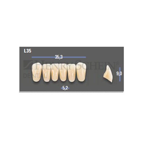 VITAPAN EXCELL Classical Lower Anterior Shade C4 Mould L35