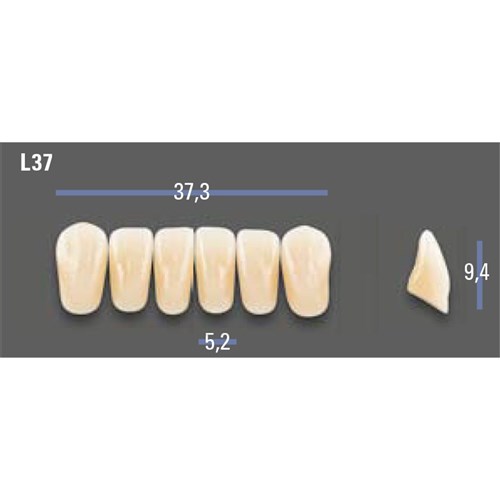 VITAPAN EXCELL Classical Lower Anterior Shade C4 Mould L37