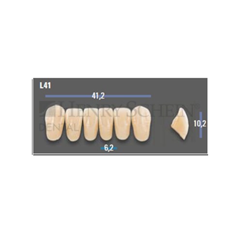 VITAPAN EXCELL Classical Lower Anterior Shade C4 Mould L41