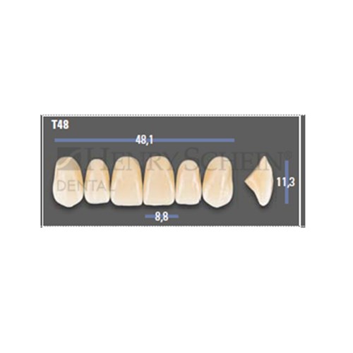 VITAPAN EXCELL Classical Upper Anterior Shade D4 Mould T48